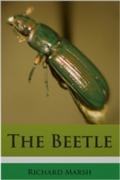 Beetle