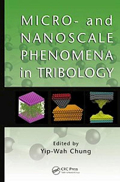 Micro- and Nanoscale Phenomena in Tribology