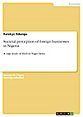 Societal Perception Of Foreign Businesses In Nigeria. - Kalekye Ndungu