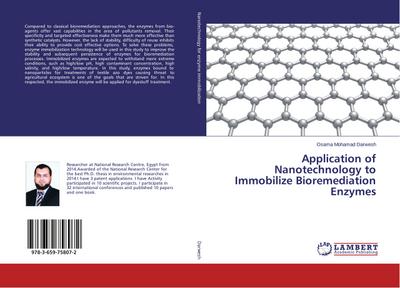 Application of Nanotechnology to Immobilize Bioremediation Enzymes