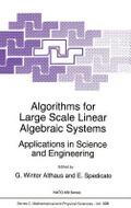Algorithms for Large Scale Linear Algebraic System