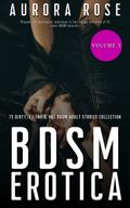 BDSM Erotica