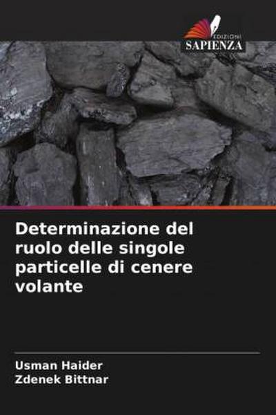 Determinazione del ruolo delle singole particelle di cenere volante