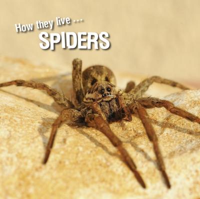 How they live... Spiders