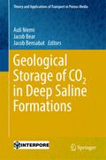 Geological Storage of CO2 in Deep Saline Formations