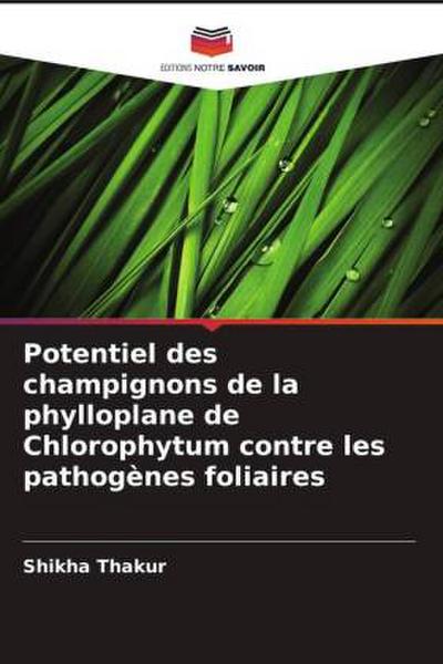 Potentiel des champignons de la phylloplane de Chlorophytum contre les pathogènes foliaires