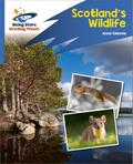 Reading Planet: Rocket Phonics - Target Practice - Scotland’s Wildlife - Blue