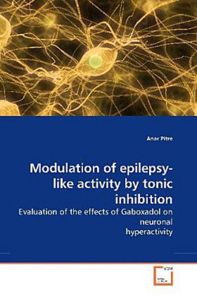Modulation of epilepsy-like activity by tonic inhibition