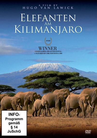 Elefanten am Kilimanjaro