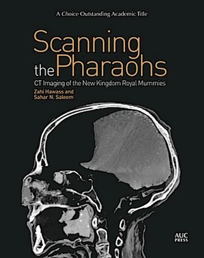 Scanning the Pharaohs