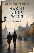 Nacht über Wien