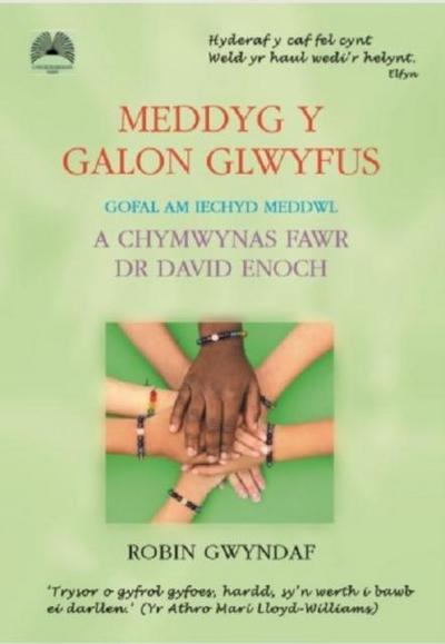 Meddyg y Galon Glwyfus - Gofal am Iechyd Meddwl a Chymwynas Fawr Dr David Enoch