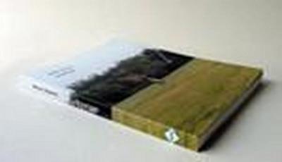 Anne Daems: Drawings