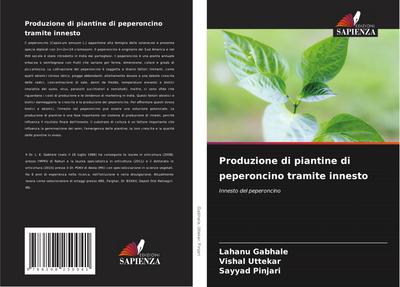 Produzione di piantine di peperoncino tramite innesto