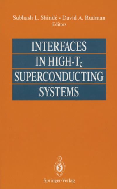 Interfaces in High-Tc Superconducting Systems