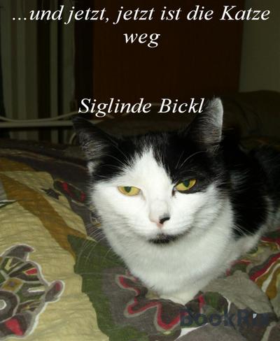 Und jetzt jetzt ist die Katze weg