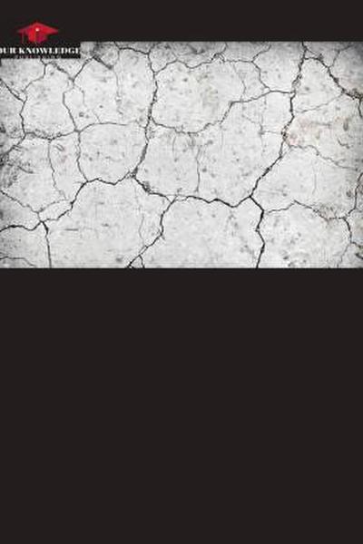 Jongo the Musical Concepts Through Its Practice in the Piquete Group