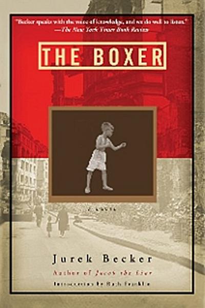 Boxer