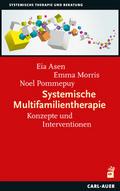 Systemische Multifamilientherapie