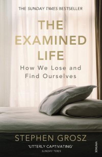 Examined Life