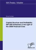 Capital Structure and Profitability: S&P 500 Enterprises in the Light of the 2008 Financial Crisis - Elmar Puntaier