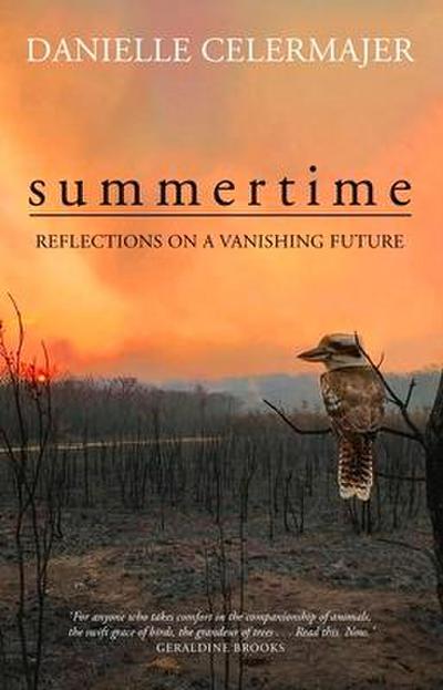 Summertime: Reflections on a Vanishing Future