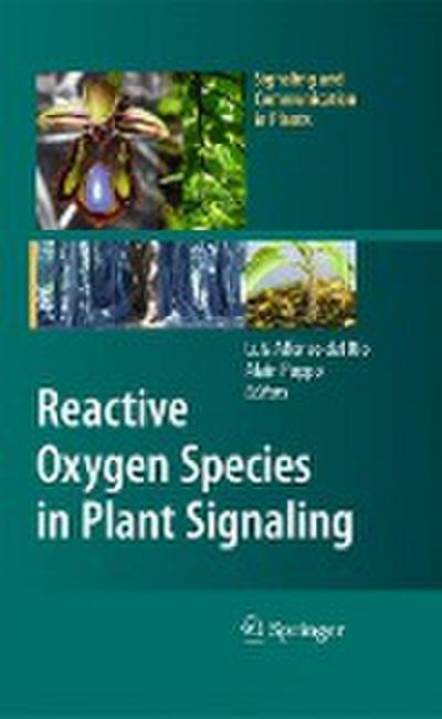 Reactive Oxygen Species in Plant Signaling
