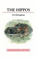 Hippos