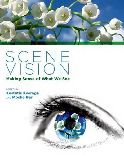 Scene Vision