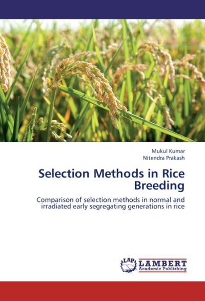 Selection Methods in Rice Breeding