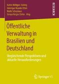 Öffentliche Verwaltung in Brasilien und Deutschland