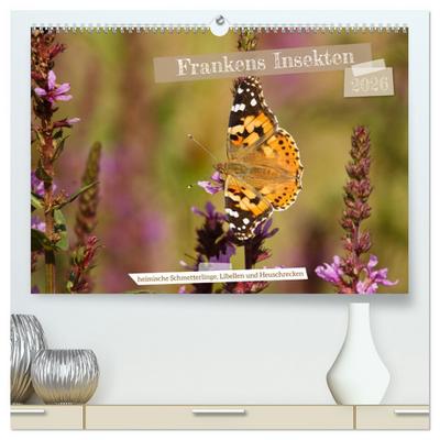 Frankens Insekten (hochwertiger Premium Wandkalender 2026 DIN A2 quer), Kunstdruck in Hochglanz