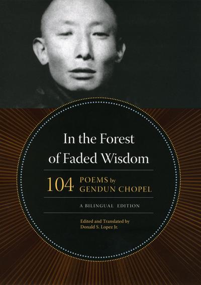 In the Forest of Faded Wisdom
