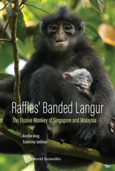 Raffles’ Banded Langur: The Elusive Monkey Of Singapore And Malaysia
