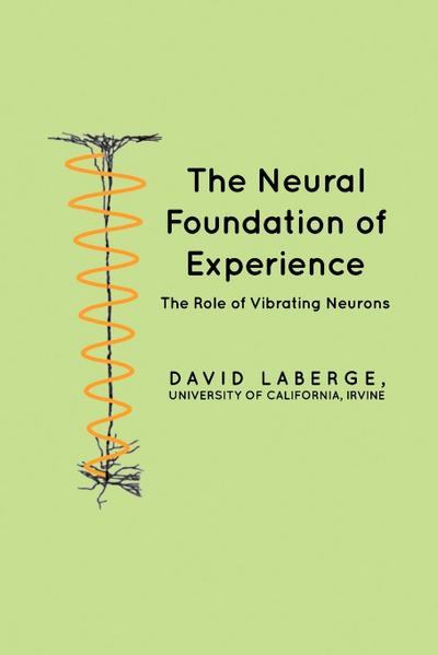 The Neural Foundation of Experience