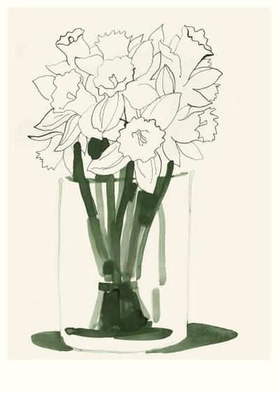 Karte Niemann, Daffodils (20 Ex),Narzissen
