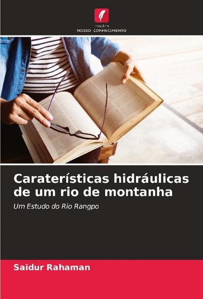 Caraterísticas hidráulicas de um rio de montanha