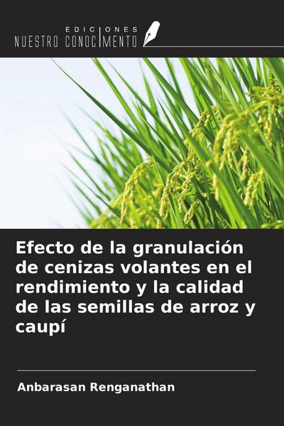 Efecto de la granulación de cenizas volantes en el rendimiento y la calidad de las semillas de arroz y caupí