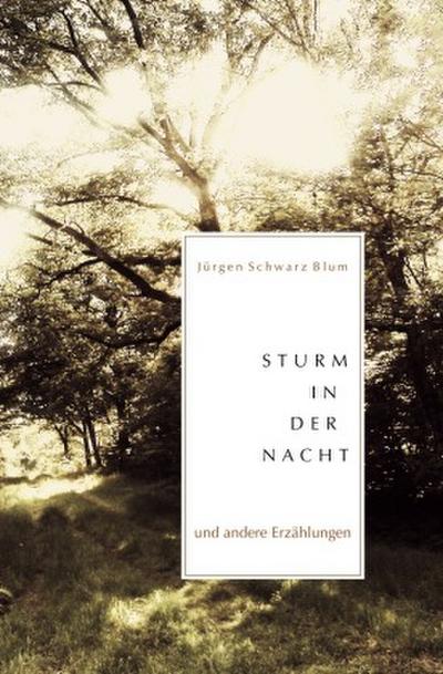 Sturm in der Nacht