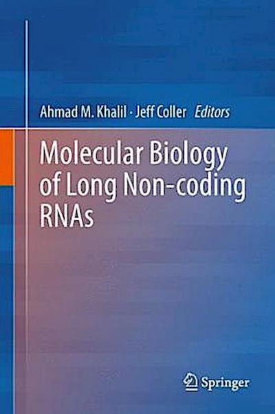 Molecular Biology of Long Non-coding RNAs