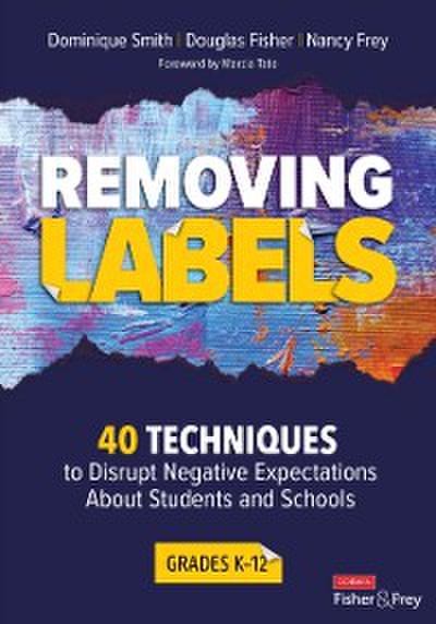 Removing Labels, Grades K-12 : 40 Techniques to Disrupt Negative Expectations About Students and Schools