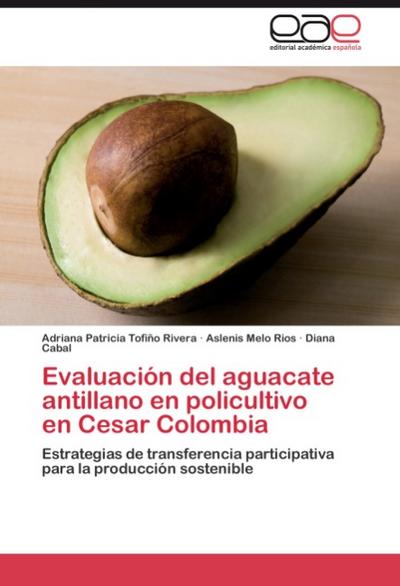Evaluacion del aguacate antillano en policultivo en Cesar Colombia