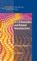 B-C-N Nanotubes and Related Nanostructures