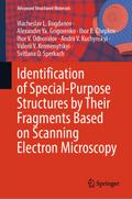 Identification of Special-Purpose Structures by Their Fragments Based on Scanning Electron Microscopy