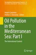 Oil Pollution in the Mediterranean Sea: Part I
