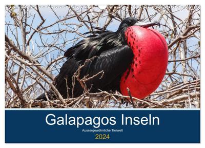 Tierwelt auf Galapagos (Wandkalender 2024 DIN A3 quer), CALVENDO Monatskalender