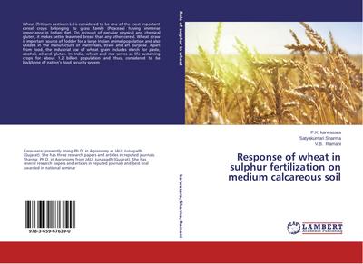 Response of wheat in sulphur fertilization on medium calcareous soil