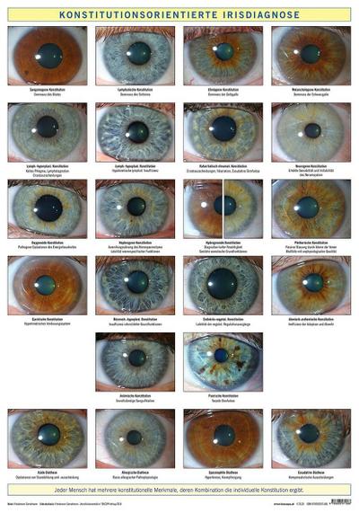 Konstitutionsorientierte Irisdiagnose, Wandtafel