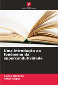 Uma introdução ao fenómeno da supercondutividade