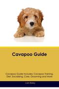 Cavapoo Guide  Cavapoo Guide Includes